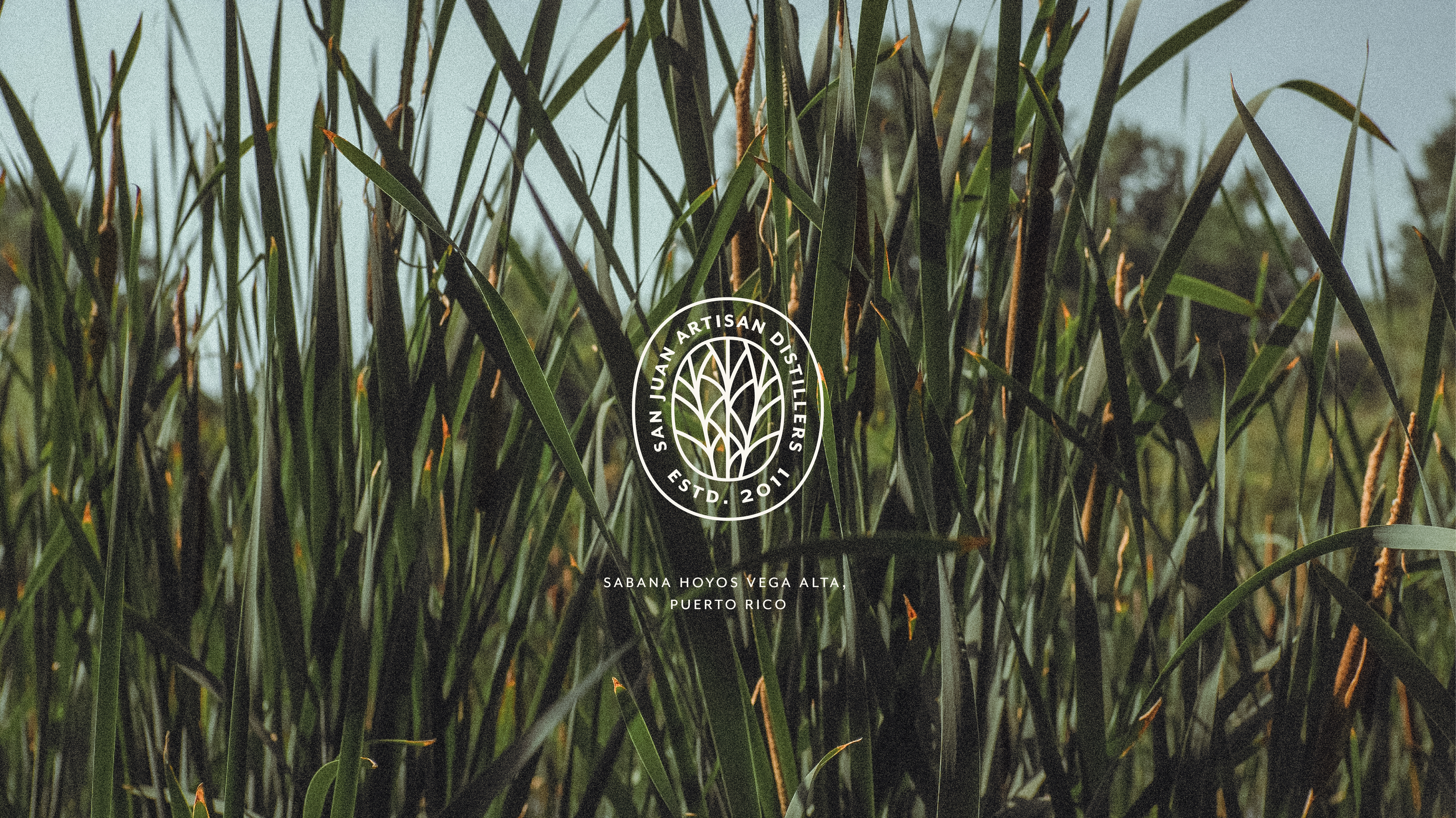 San Juan Artisan Distillers — An estate sugarcane distillery located in Vega Baja, Puerto Rico.